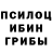 Галлюциногенные грибы Magic Shrooms OldKot
