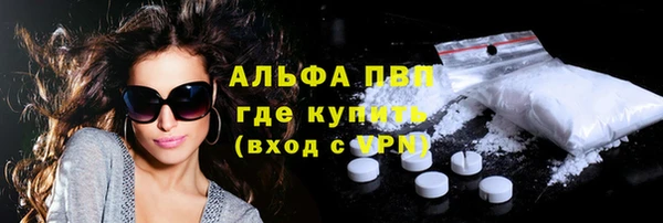 гидра Верхний Тагил
