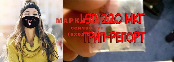 гидра Верхний Тагил