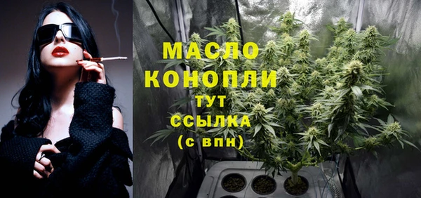 гидра Верхний Тагил