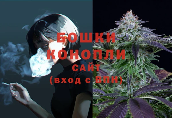 гидра Верхний Тагил