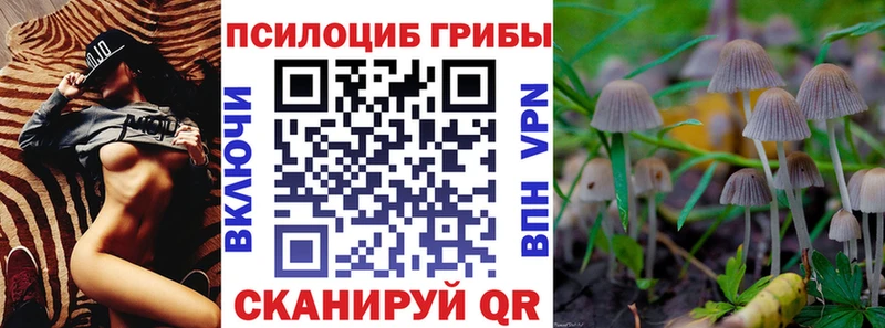 Галлюциногенные грибы GOLDEN TEACHER  Бугульма 