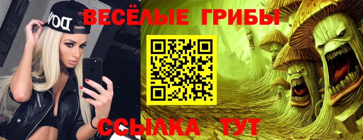 Галлюциногенные грибы мицелий  Псилоцибиновые грибы Psilocybine cubensis  Бугульма  Вход с VPN 